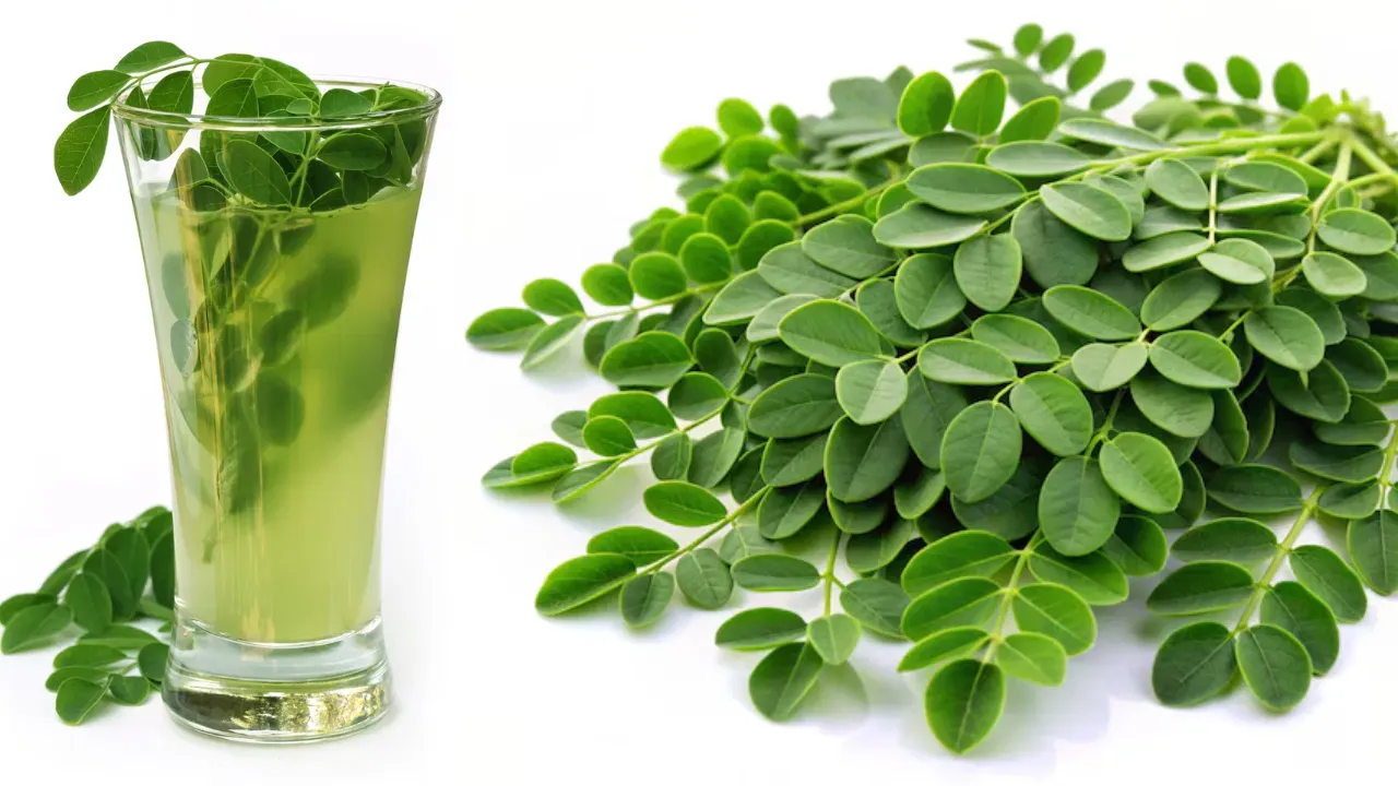 MORINGA-WATER