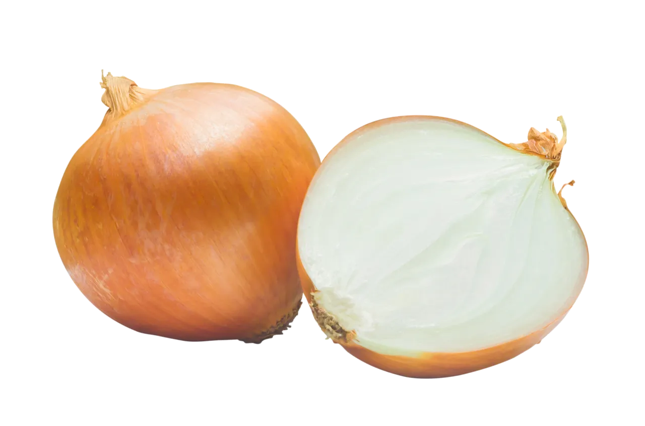 one-fresh-golden-onion-bulb-with-half-or-slice-isolated-with-clipping-path-in-file-format-concept-of-healthy-vegetable-or-food-png