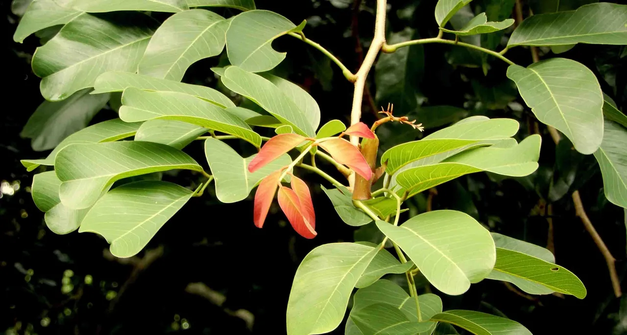 33938d2ac8884a6b84b6e9cfcace7b28