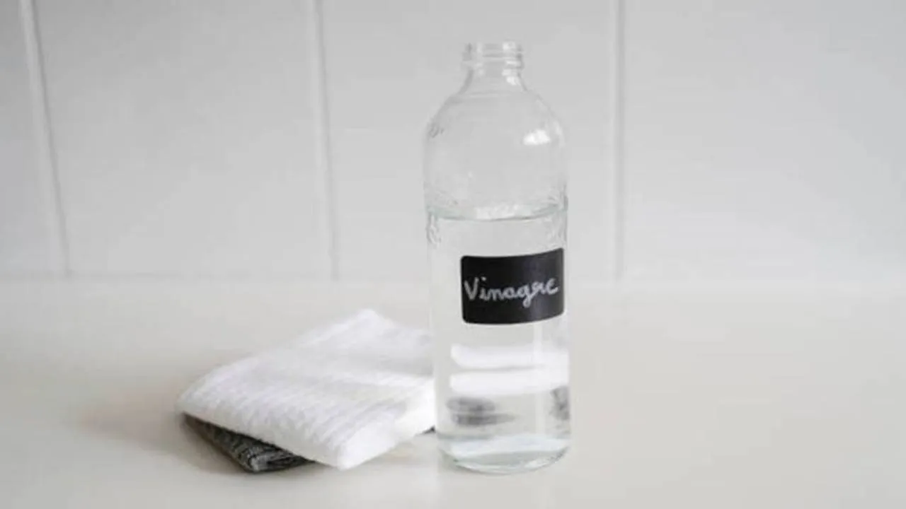 w-1280,h-720,format-jpg,imgid-01h7sddn2e6v2j4dsjnmkb7xgp,imgname-gettyimages-1278610215-612x612--1-