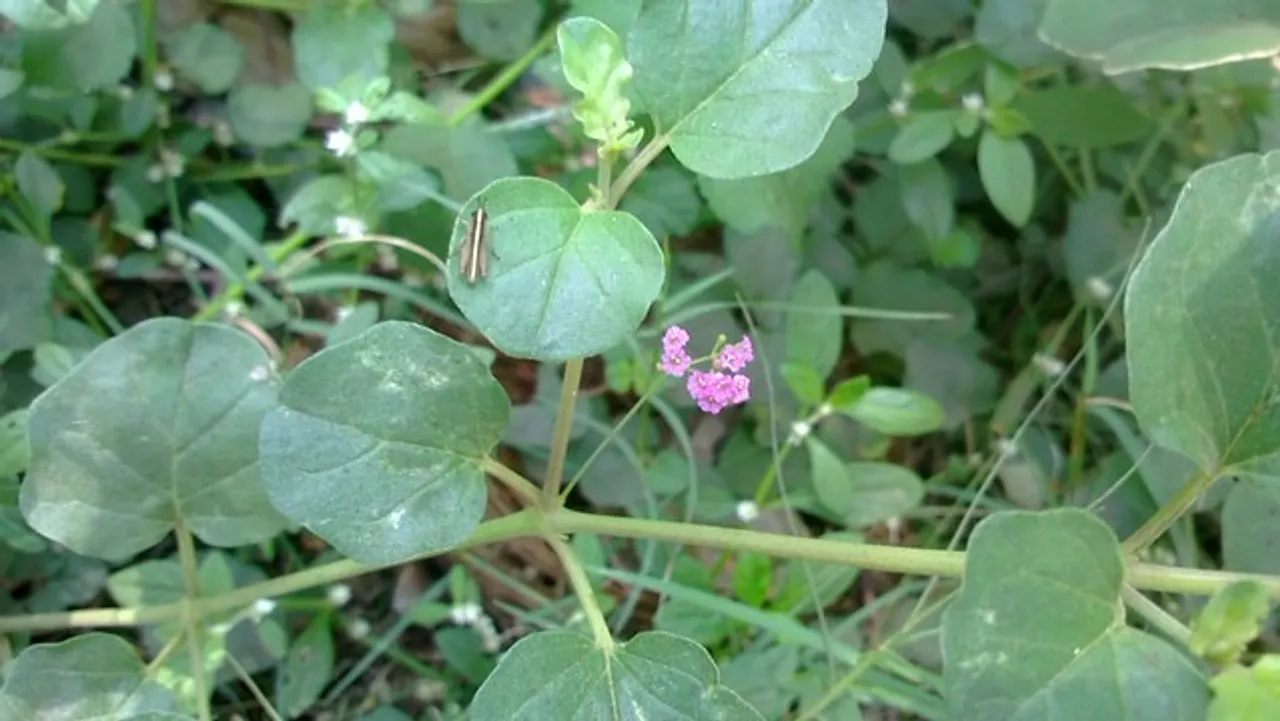 8734171055_fd748d0d9b_z