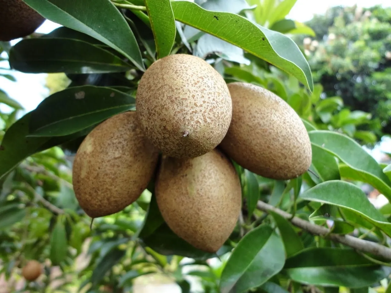 f3514d2a-46d1-41b5-b118-dd87dab8c4c9