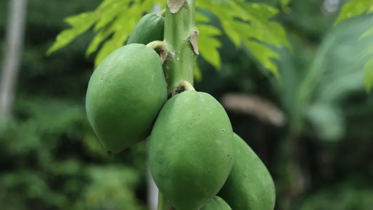 Anti-Ageing-Natural-Tips