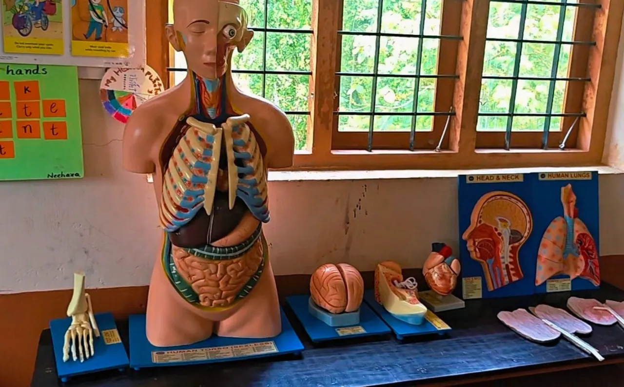 54ca1858-0c75-4b6a-ba25-6f308eb2075c