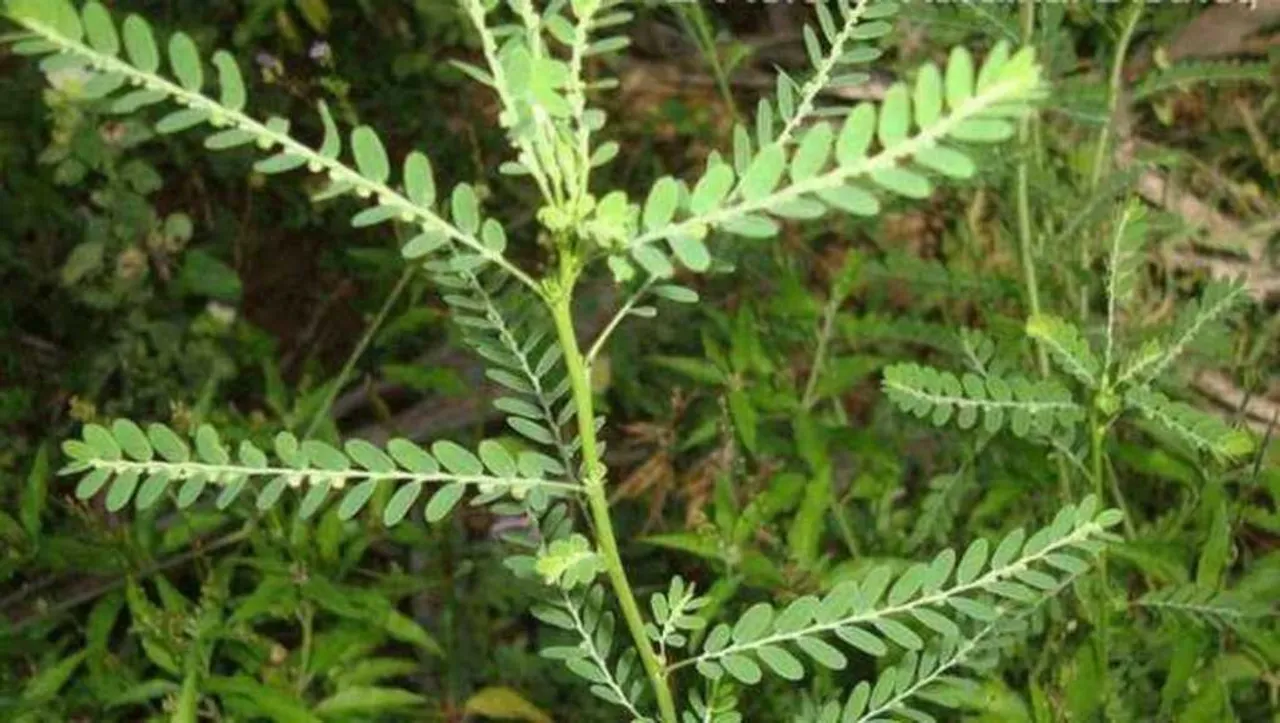 1561896236_28554e16-077e-47c4-8d0e-df8dabb008f7