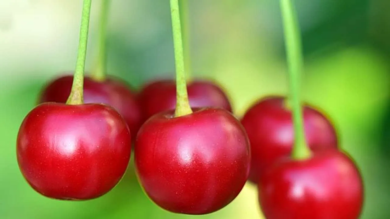 170404-sleep-quality