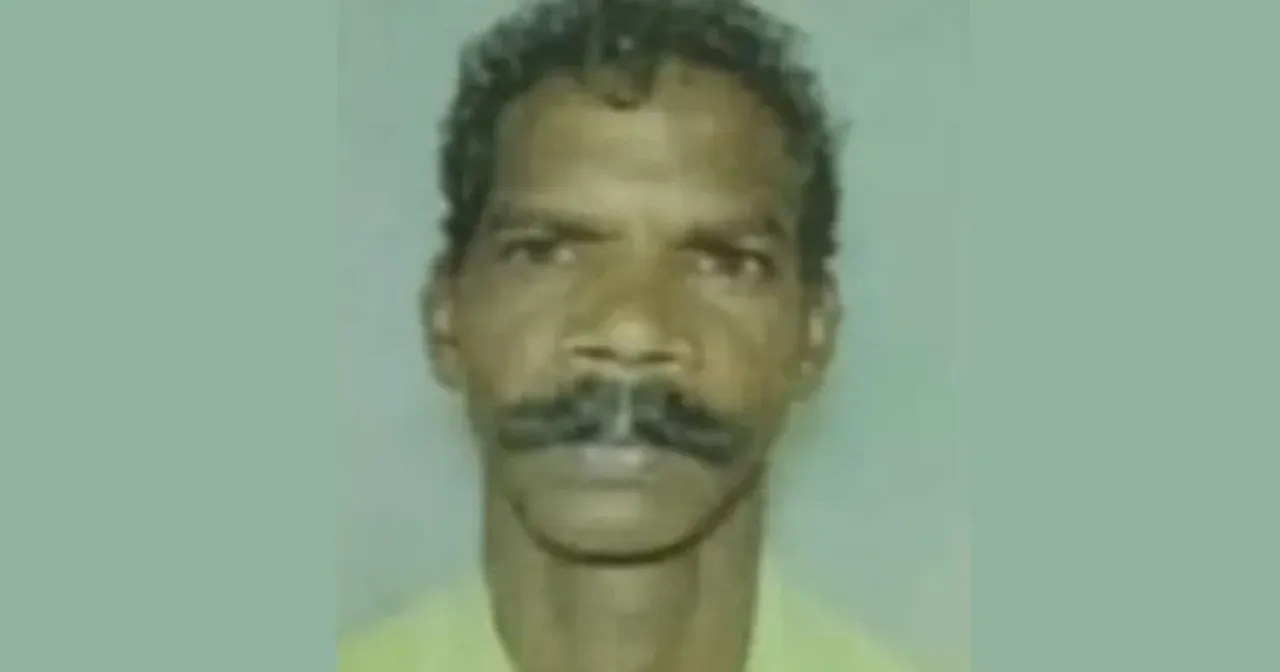 forestwatcher-750x394