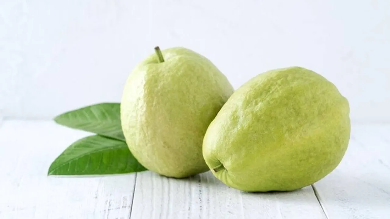 guava-ga-fi-2025-12-03-11-45-30