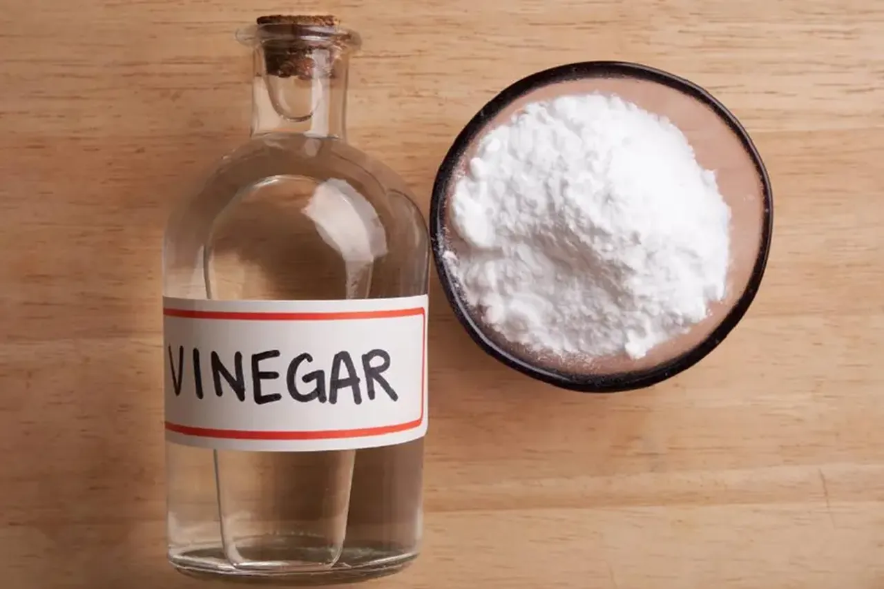 vinegar