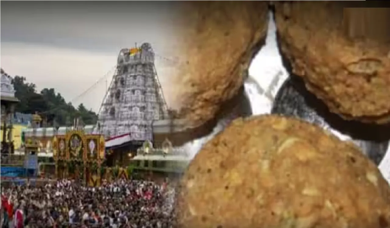 laddu7Untitledbjjp