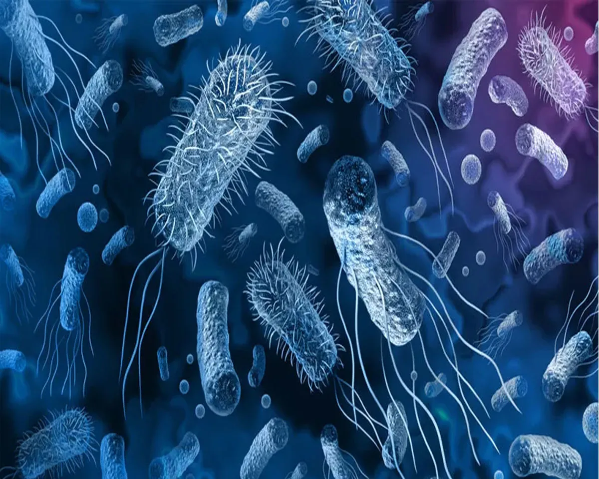 cholera kerala