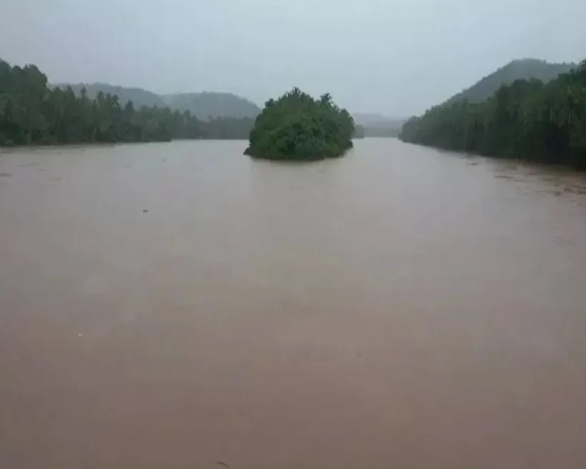 nadhii