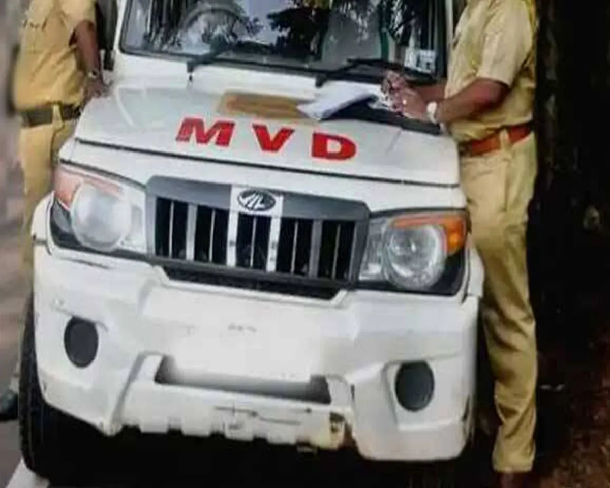 mvd fine