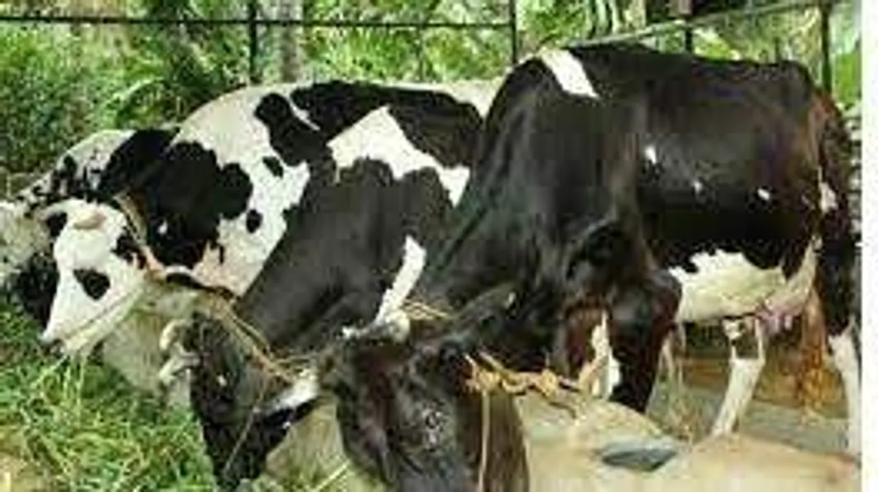 okjhgytfrdwasedrftgyuhjik