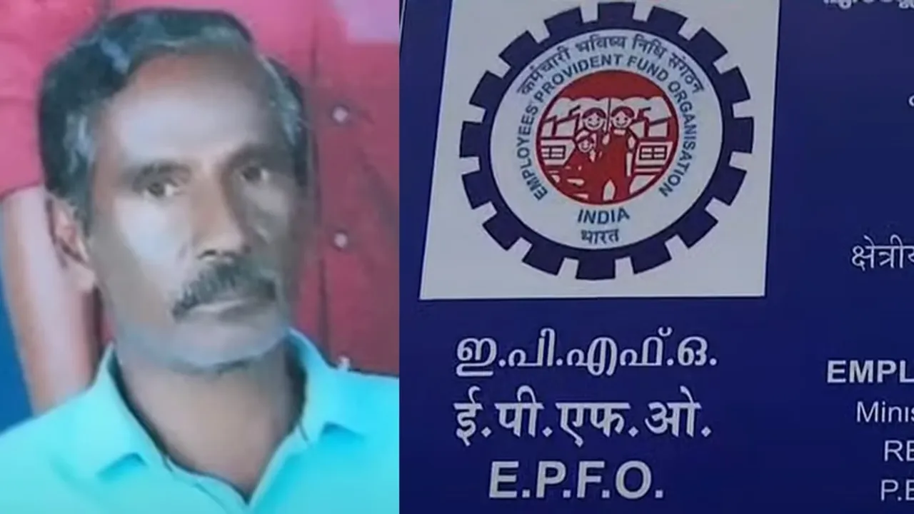 pfo
