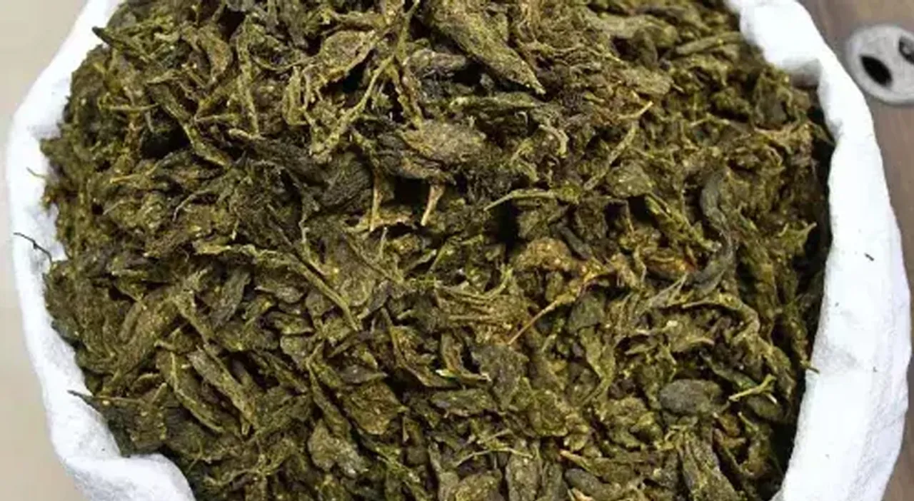 ganja-3.jpg