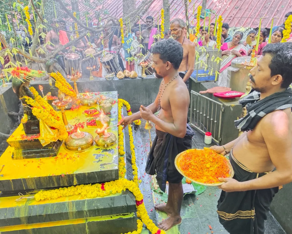 kalleli naga pooja