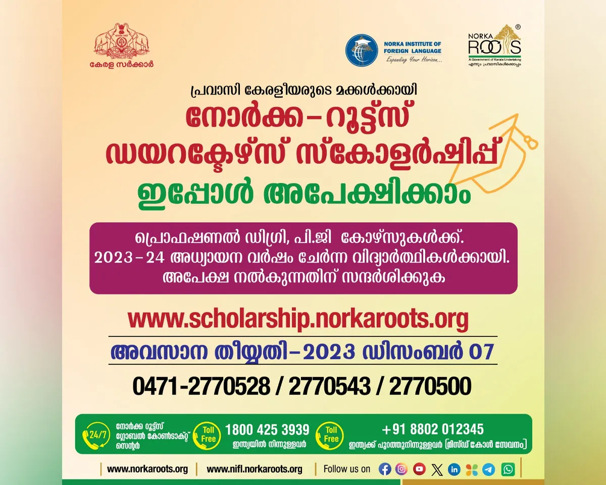 noria roots directors scholorship