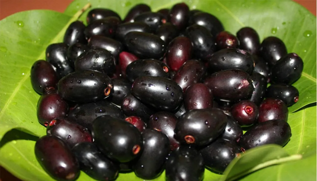 kerala