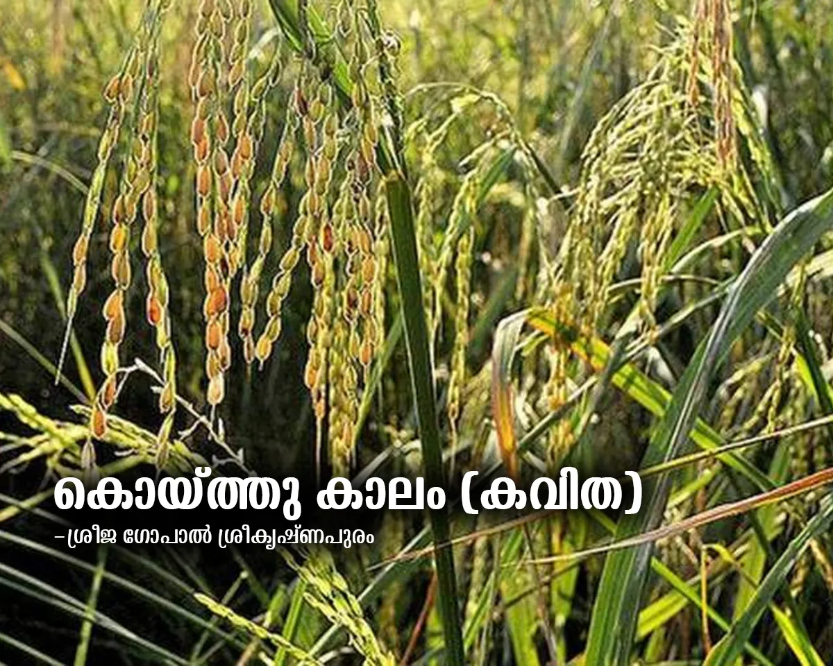 koithukalam poetry