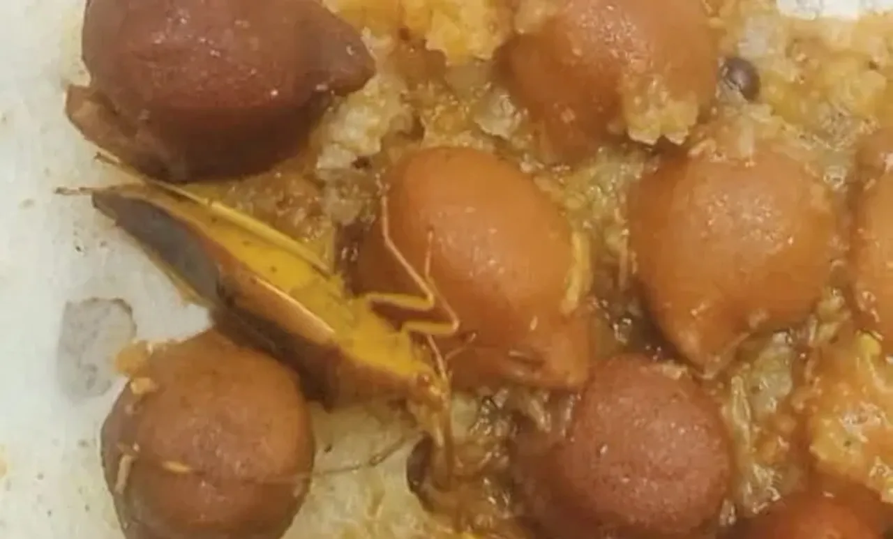 cooked cocroach in packeged food