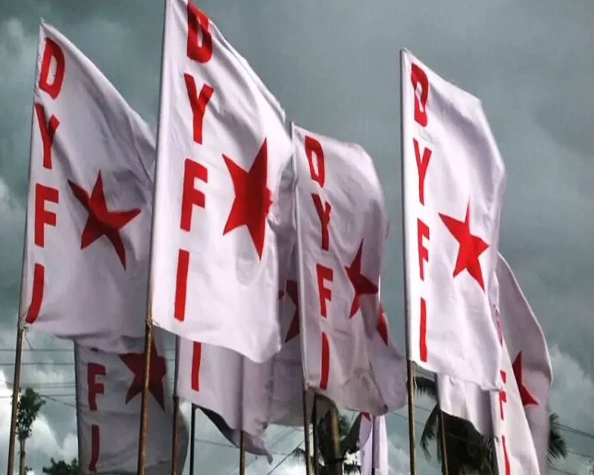 dyfi flag.jpg