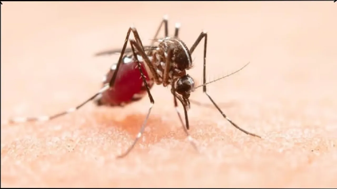 Zika Virus Confirmed in India