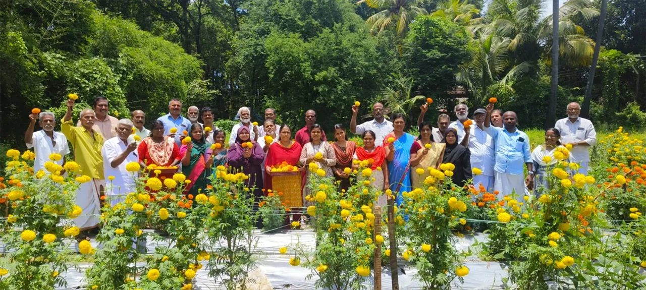 jamanthi harvest palakkad