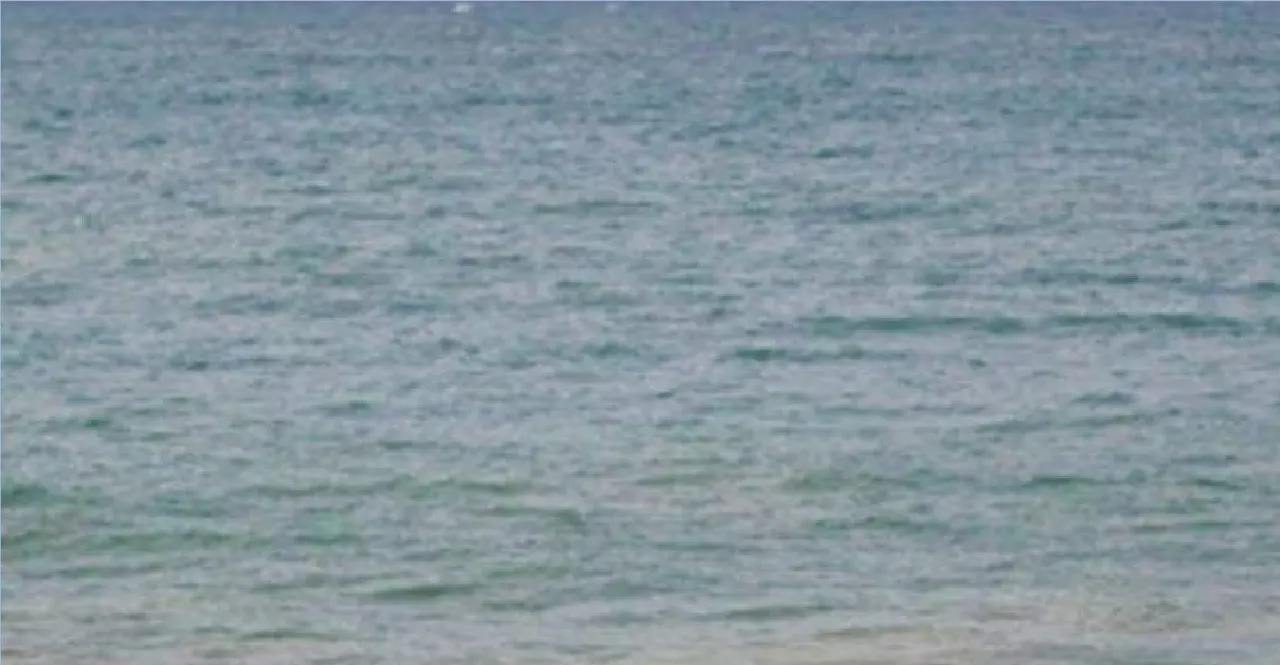 sea