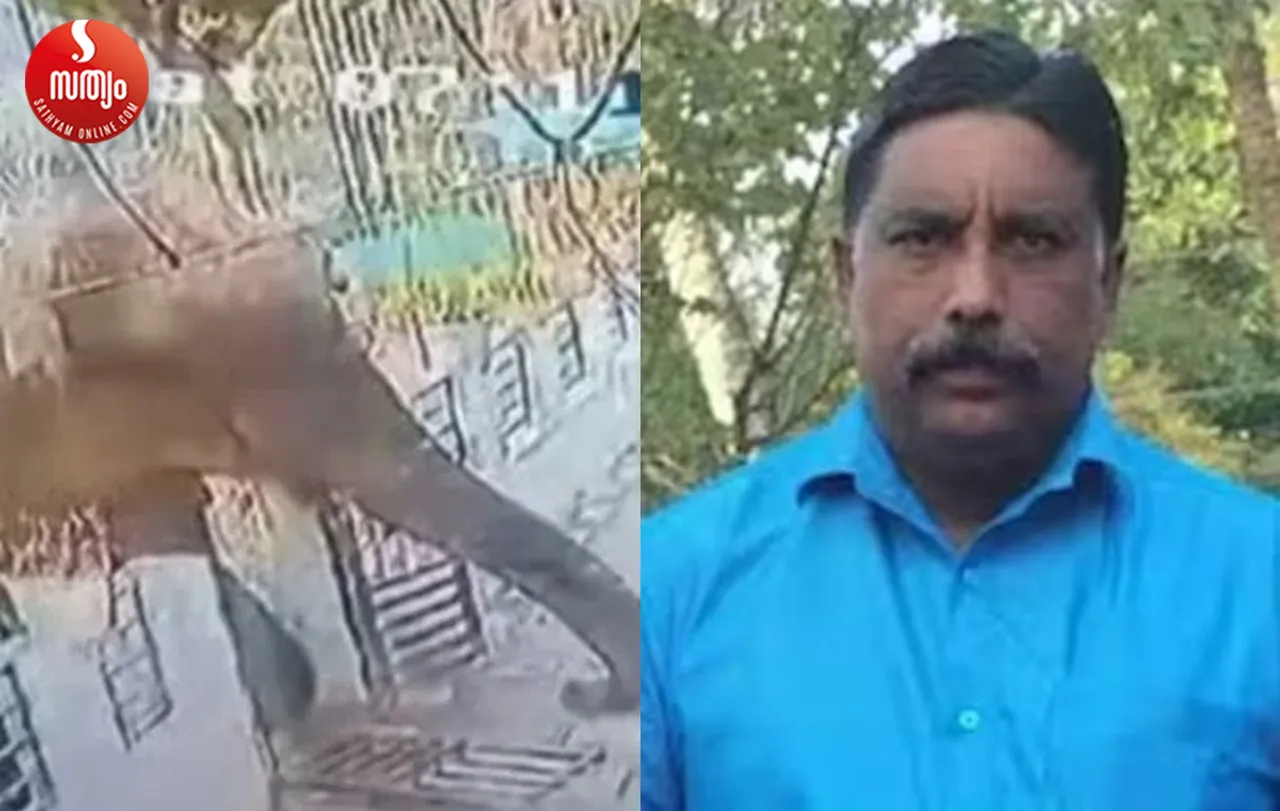 wayanad elephant attack