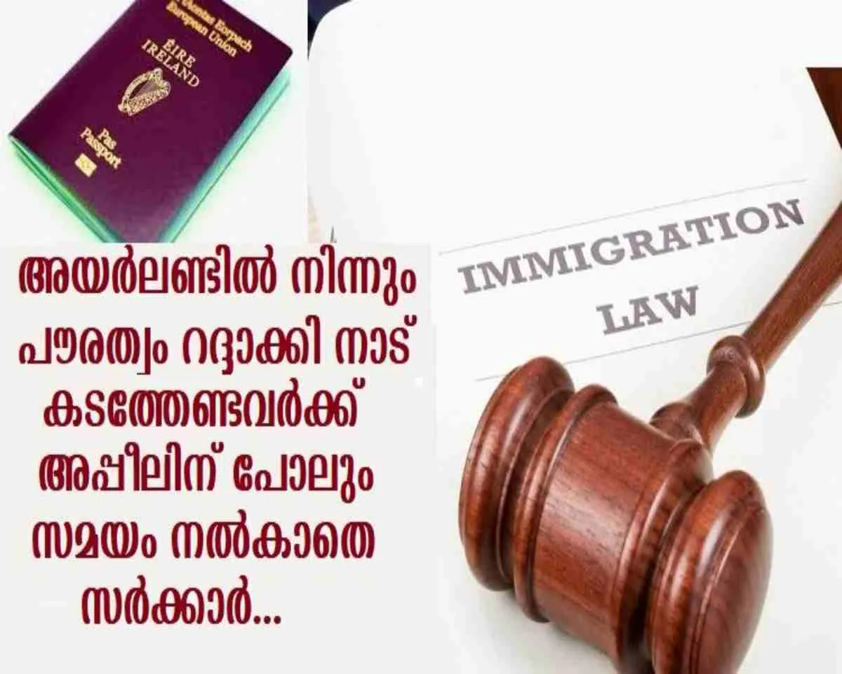 vfgty66666666666666667