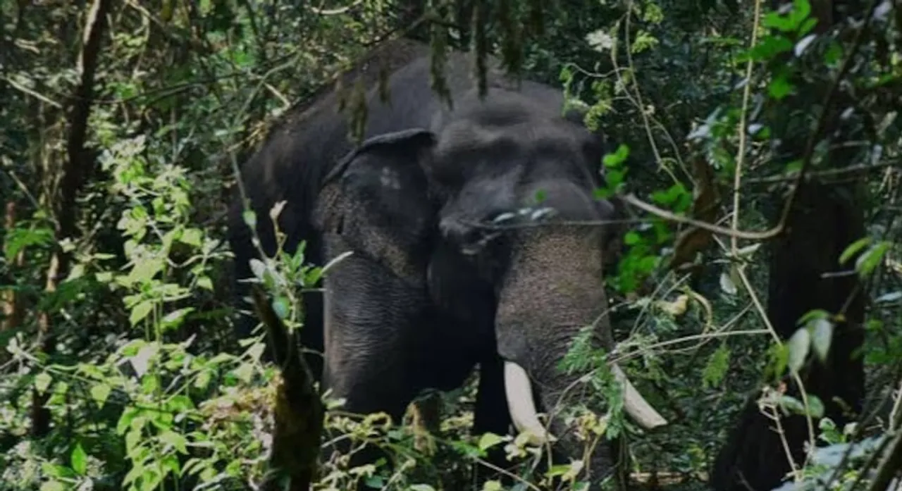 komban