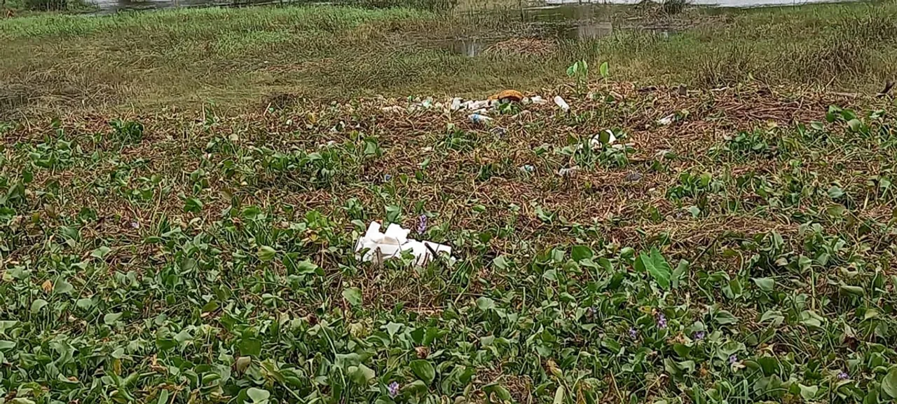 mukai river bridge-2