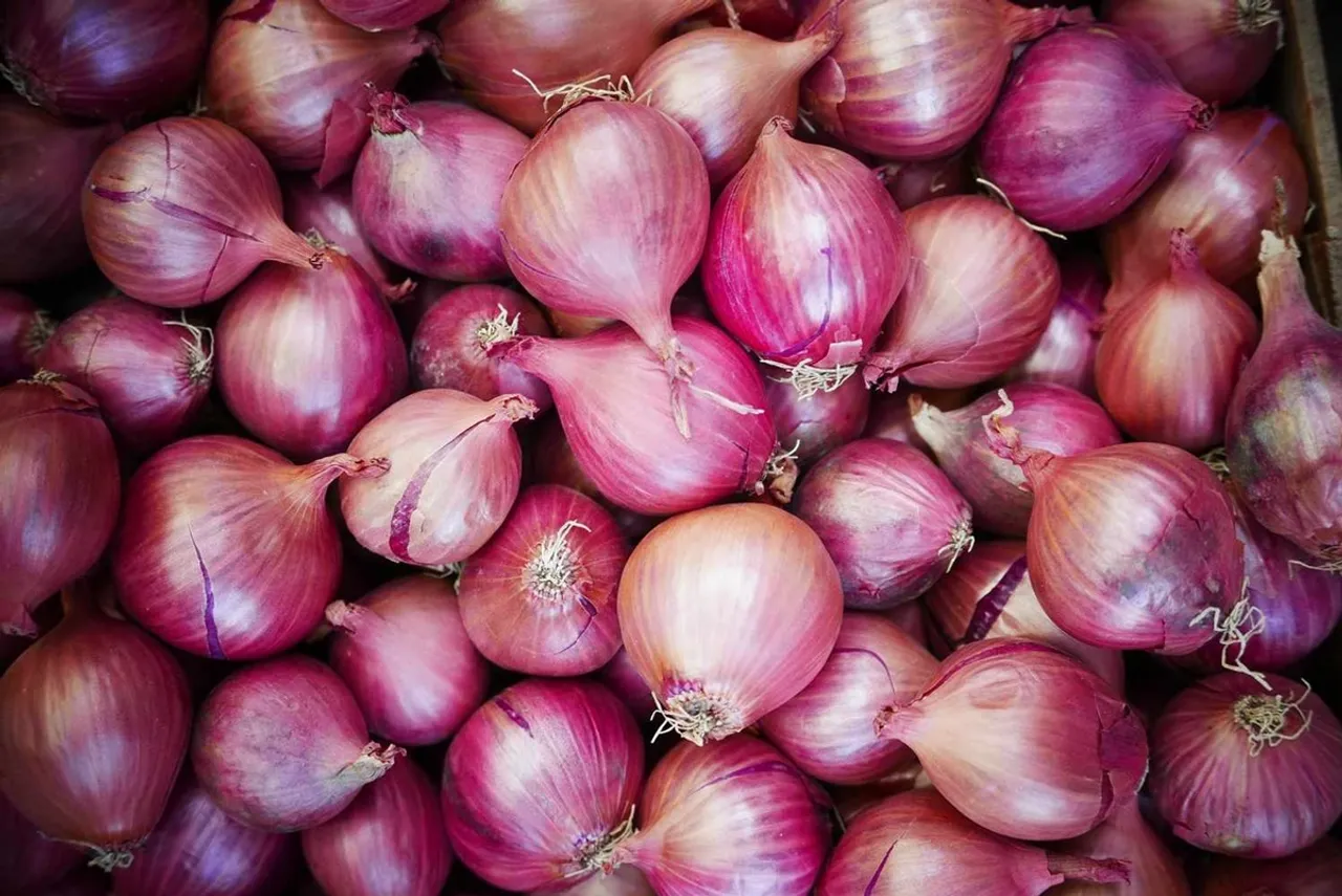 onion 1