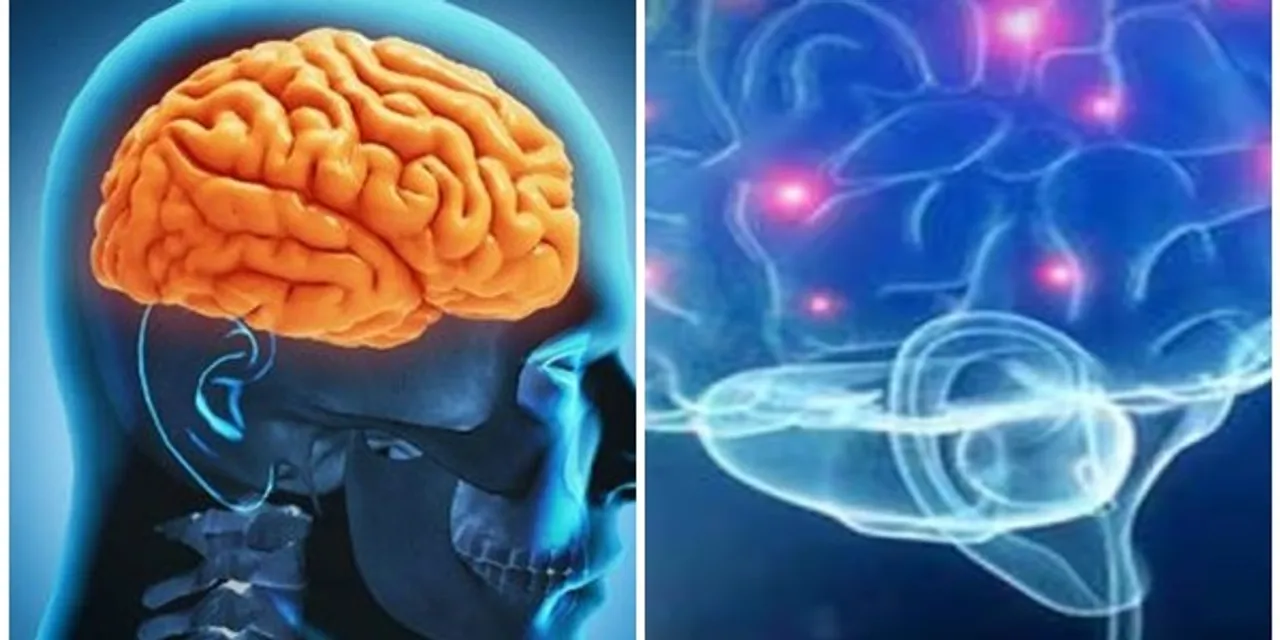 amoebic-encephaliti