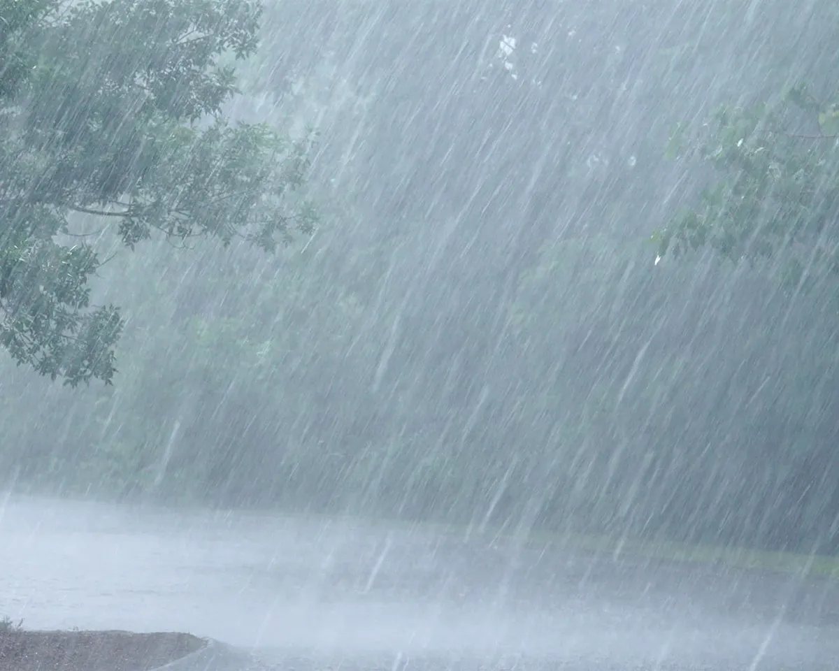 heavy rain kottayam