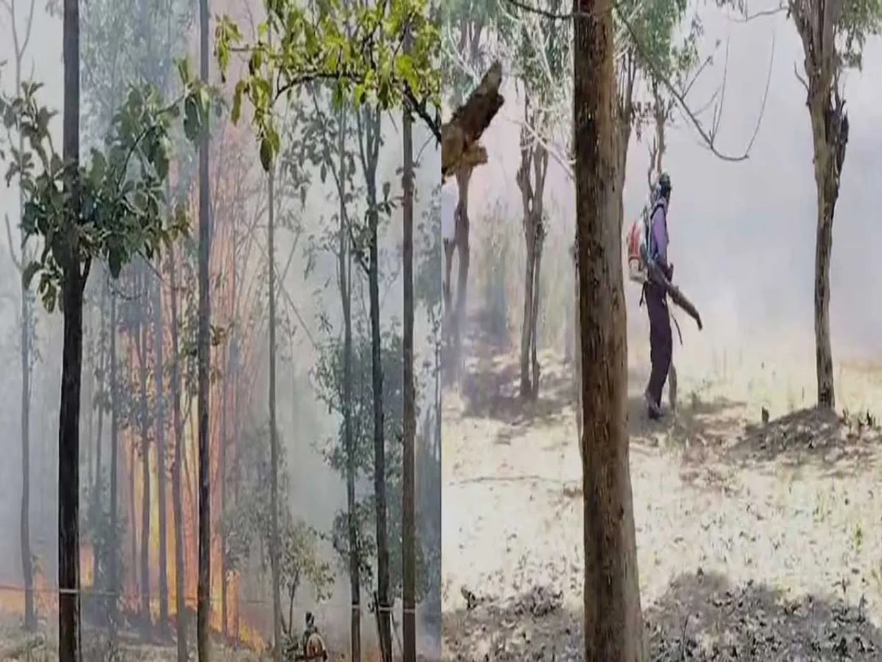 wayanad fire.jpg