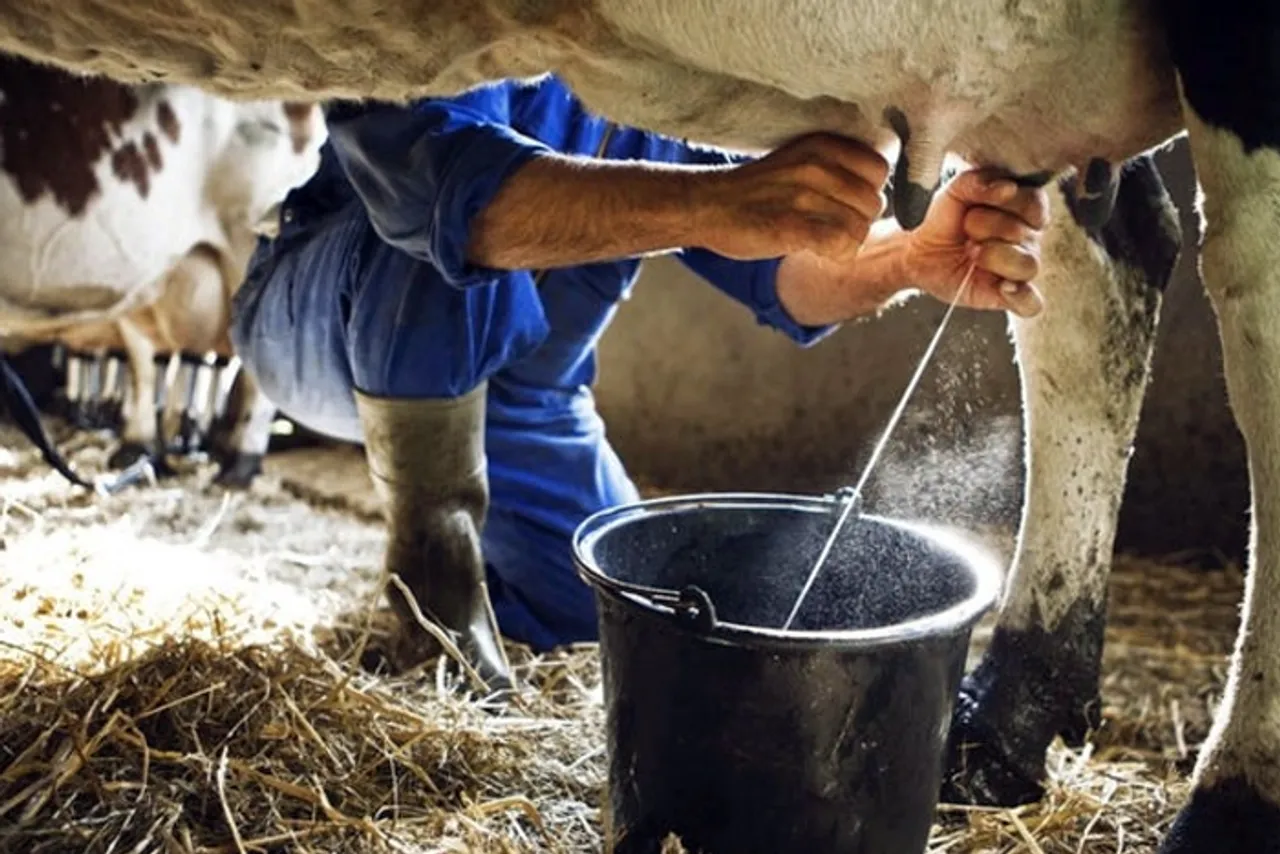 cow-milk.jpg