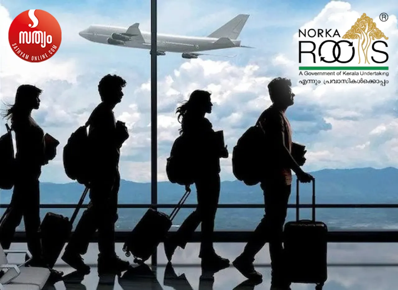 norka roots-1