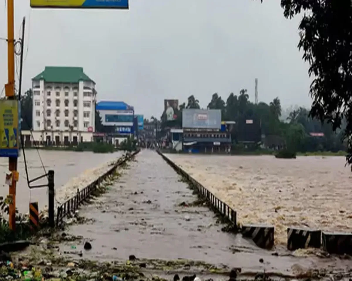 pattambi bridge water