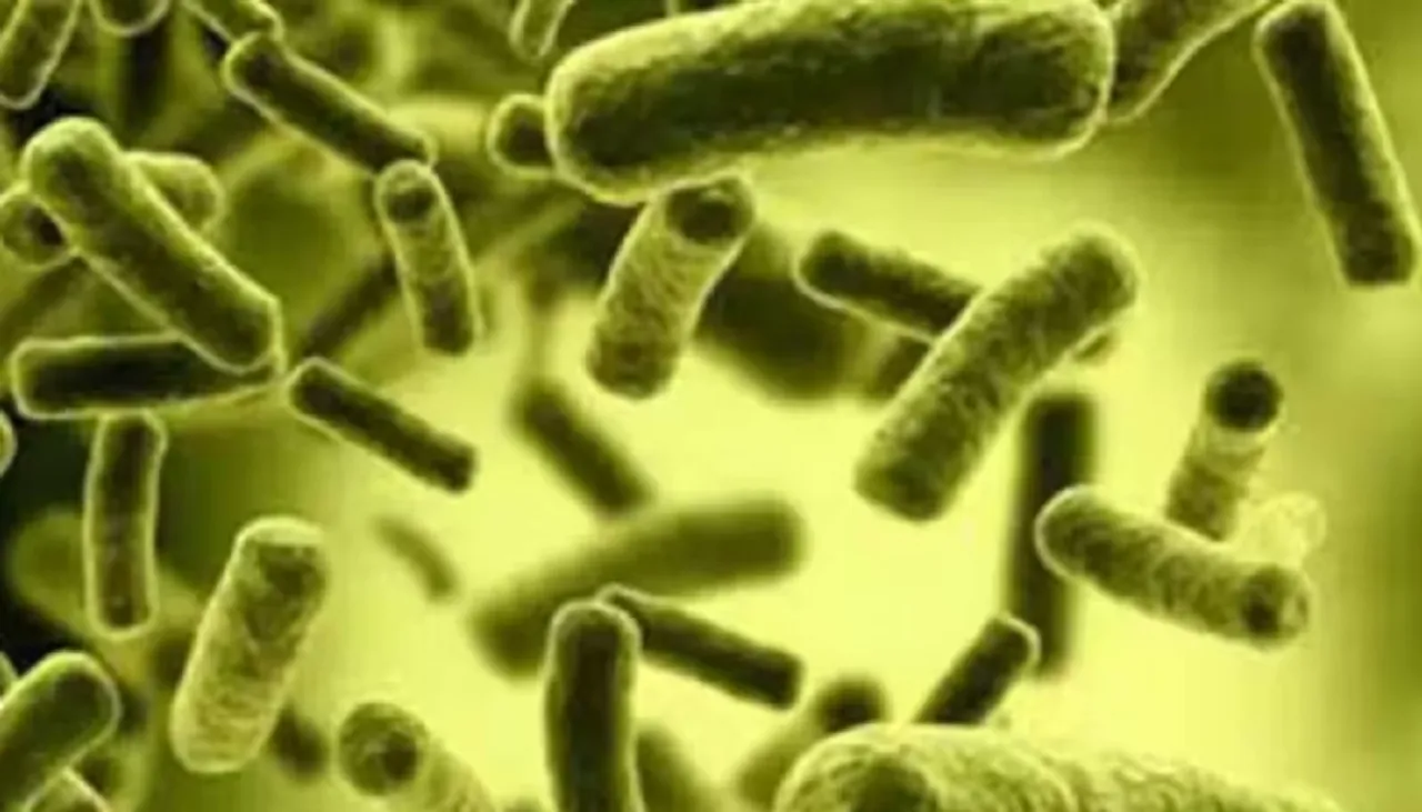 Cholera: