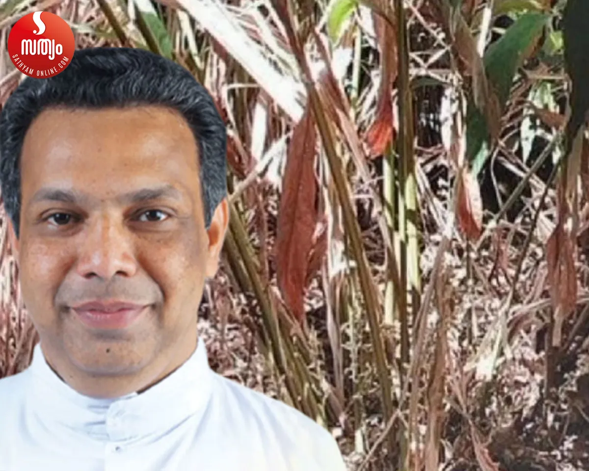 fr. thomas mattamundayil dry cardamom