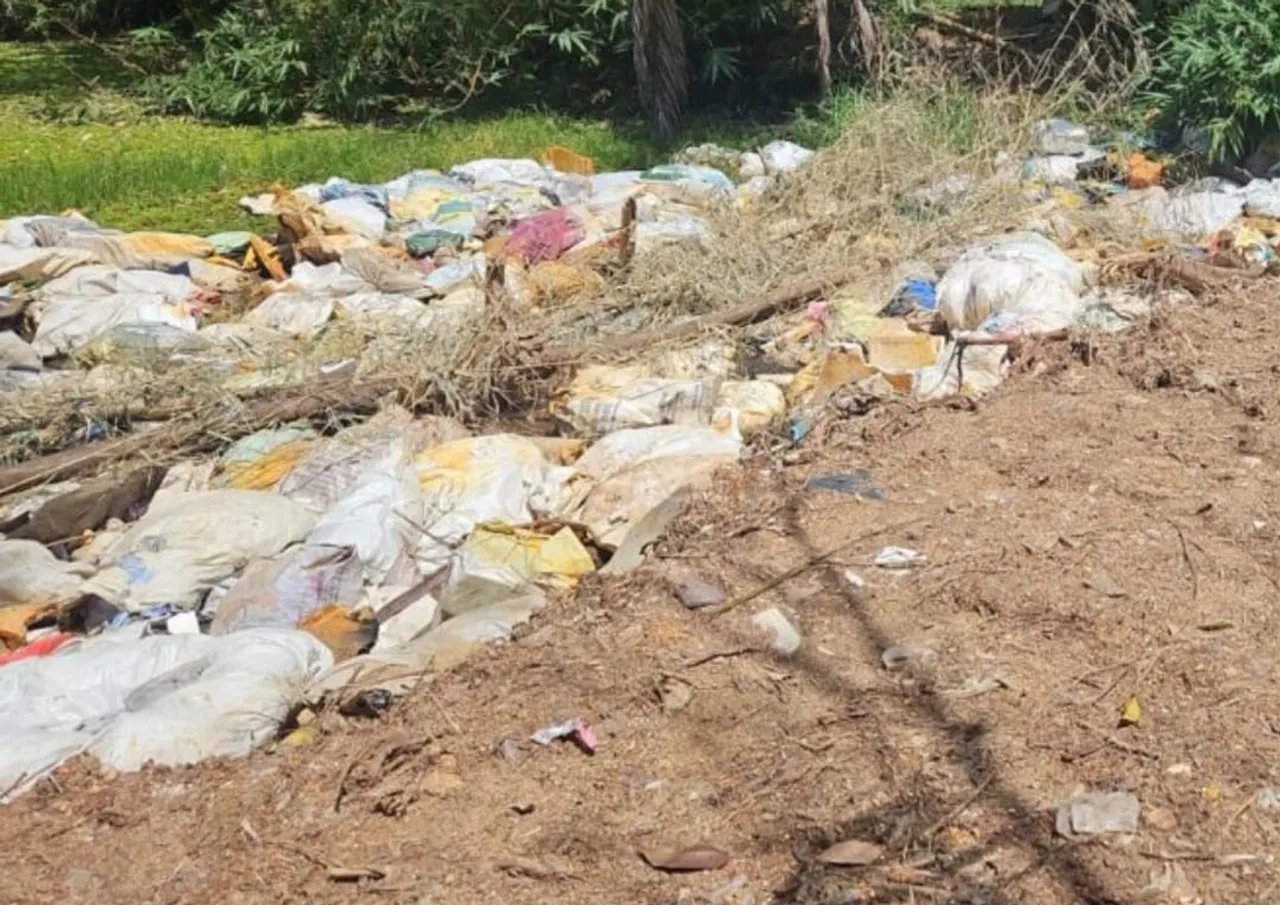 hospital waste dumped