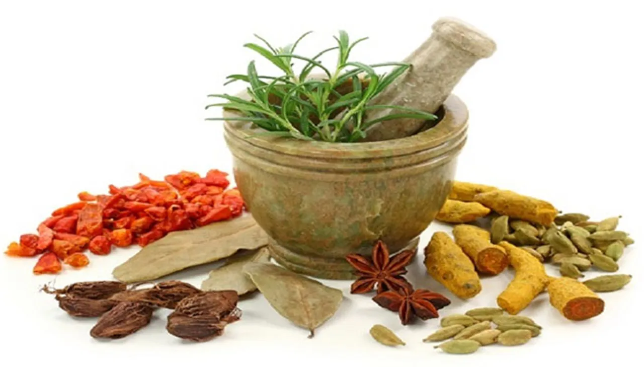 ayurveda medical camp
