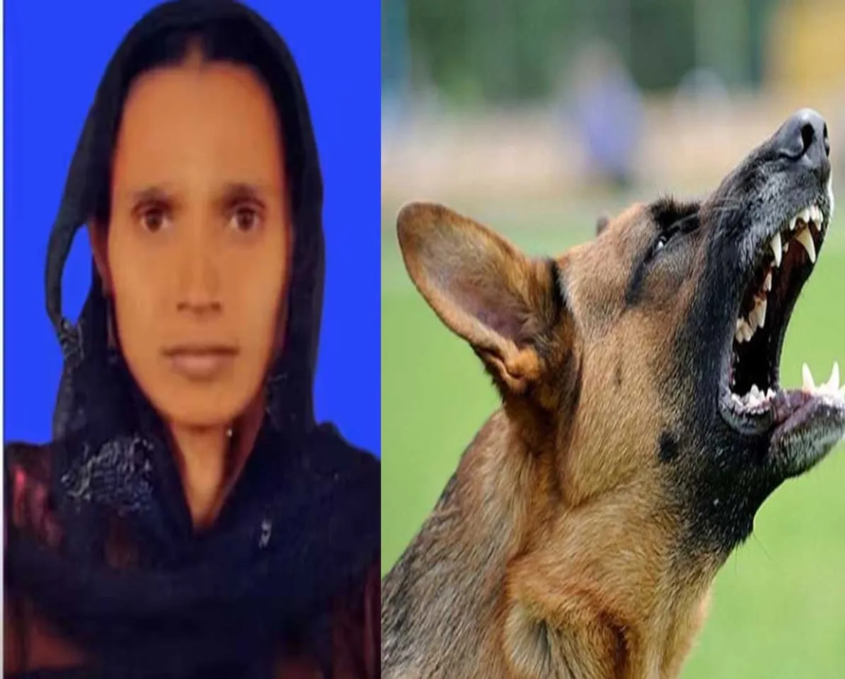 death dog bt.jpg