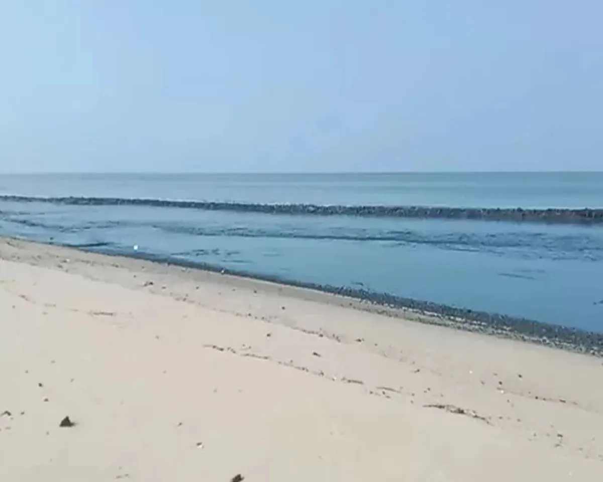 sea engulf.jpg