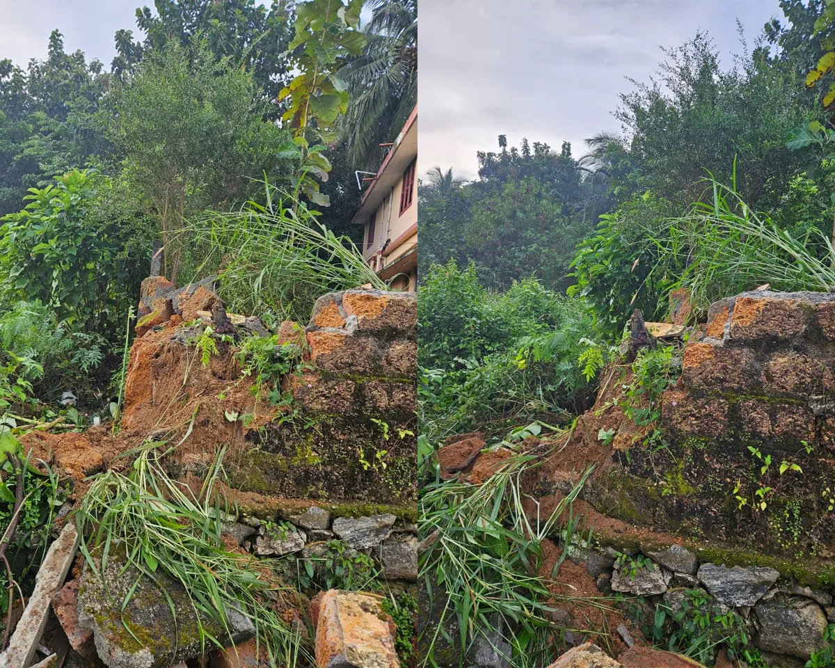 wild elephant attack