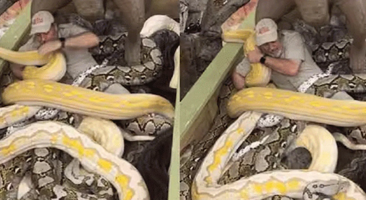 snake-1keev.jpg