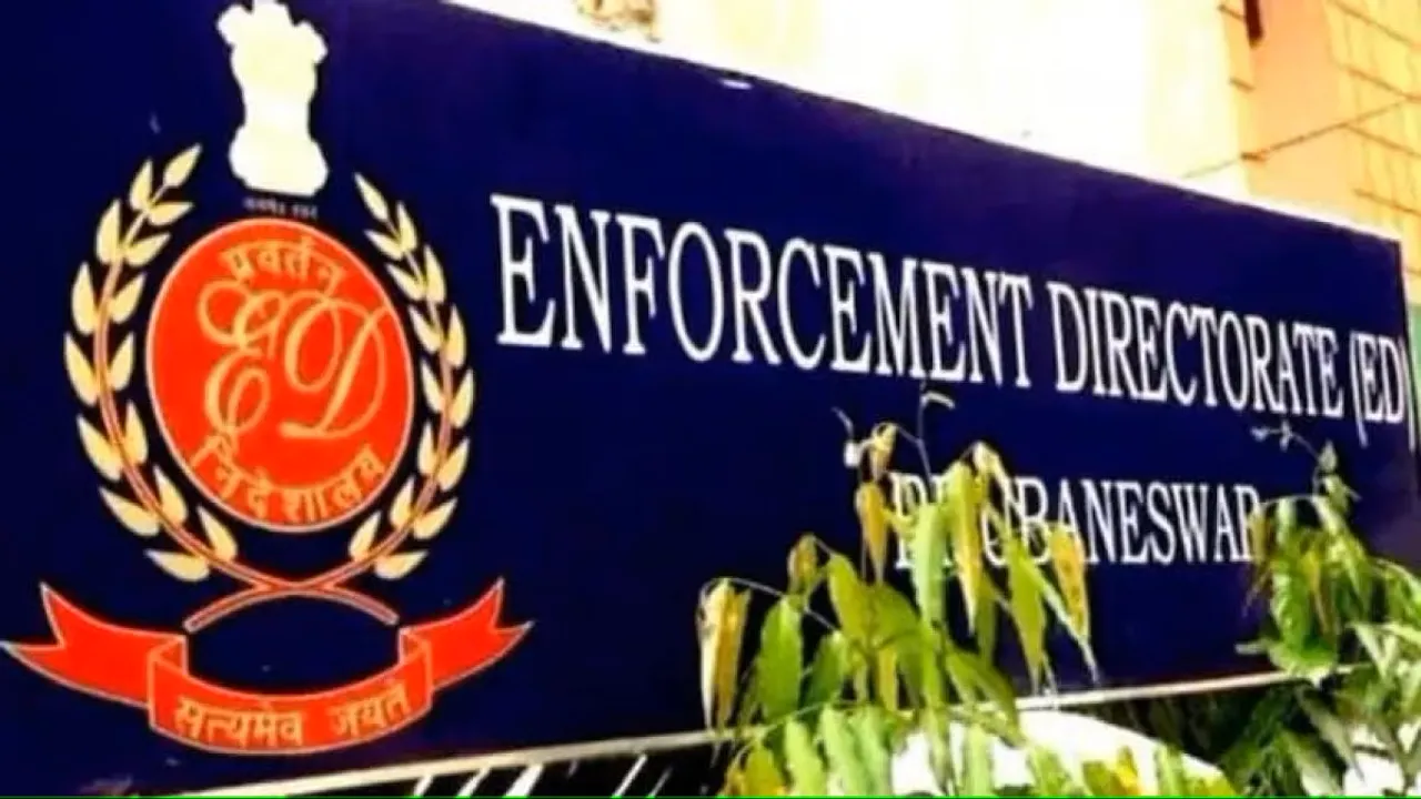 enforcement ed