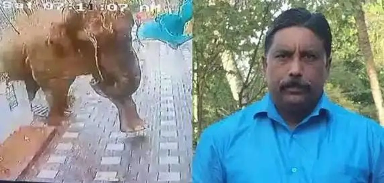 53555